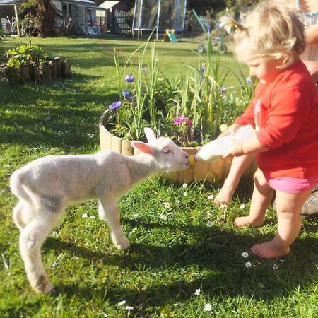 Little Paradise&Petting Farm Greymouth Esterno foto