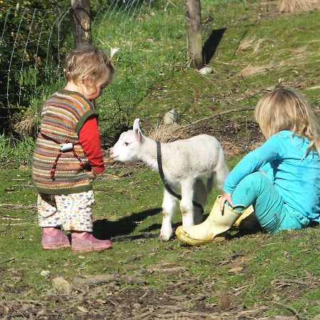 Little Paradise&Petting Farm Greymouth Esterno foto