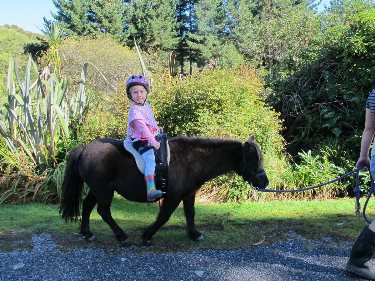Little Paradise&Petting Farm Greymouth Esterno foto