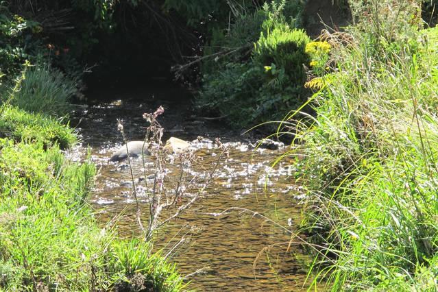 Little Paradise&Petting Farm Greymouth Esterno foto