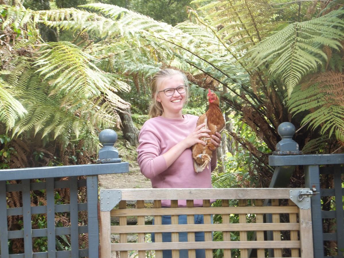 Little Paradise&Petting Farm Greymouth Esterno foto