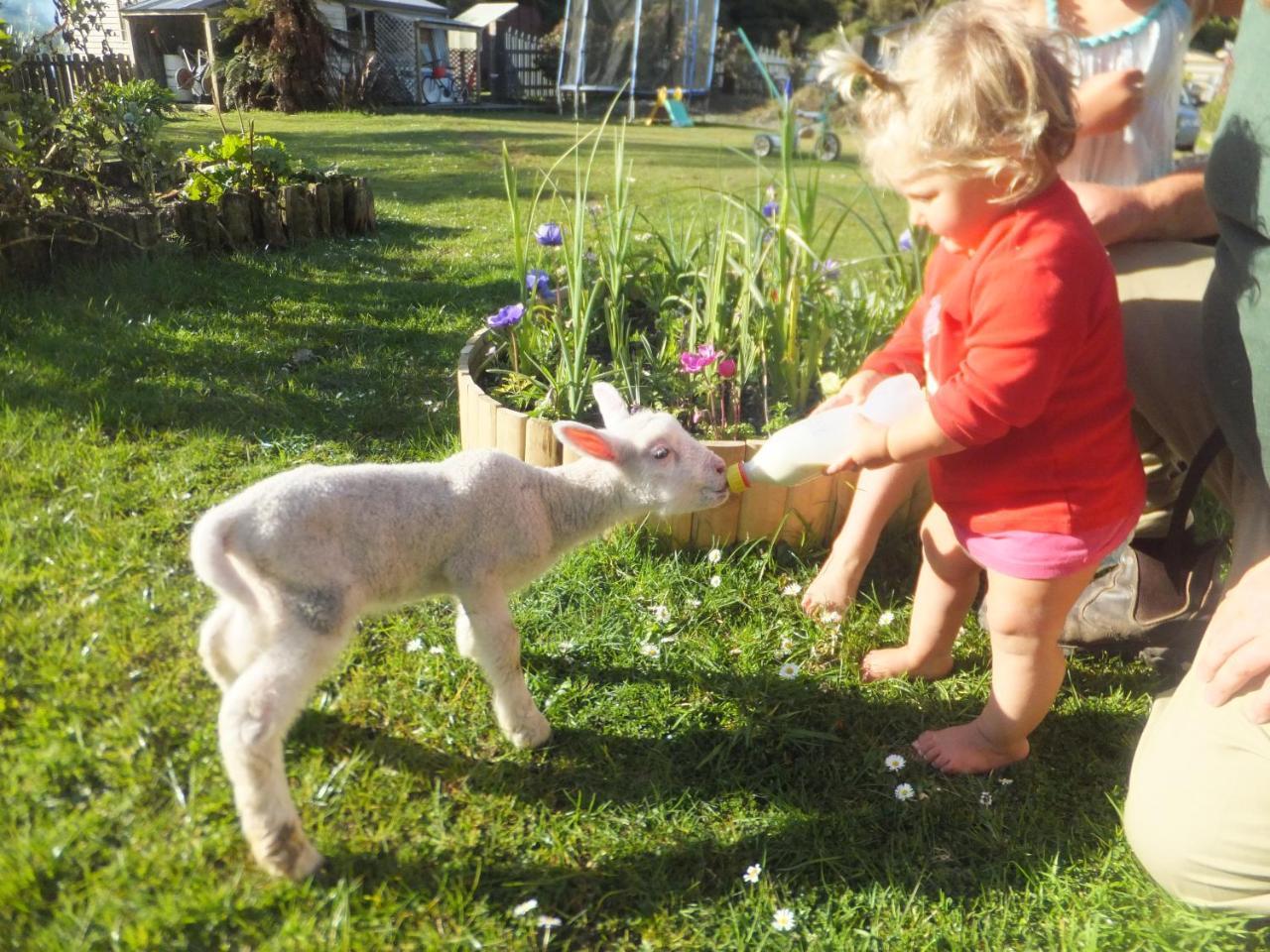 Little Paradise&Petting Farm Greymouth Esterno foto
