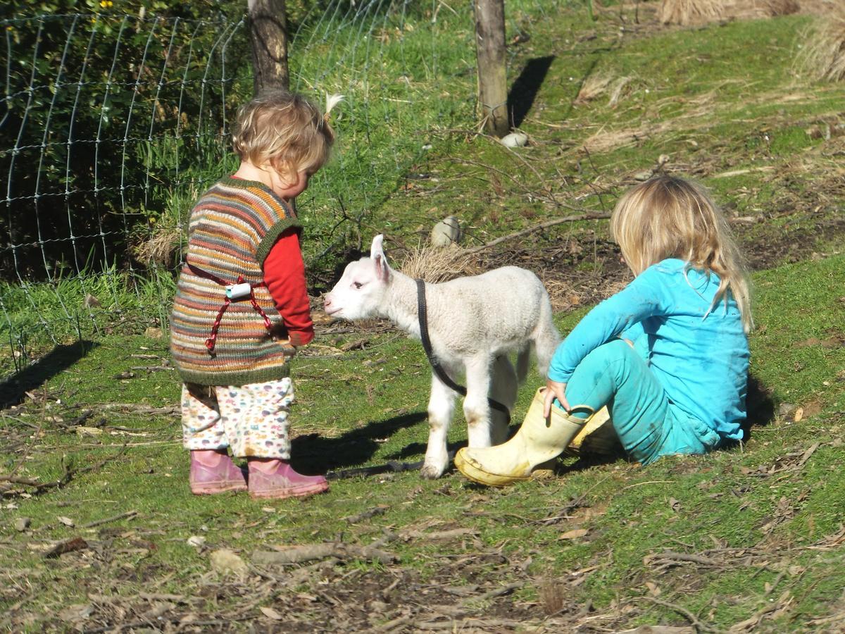 Little Paradise&Petting Farm Greymouth Esterno foto